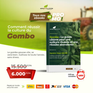 Culture de Gombo